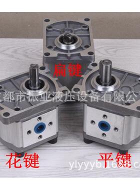 齿轮泵 液CBN 压泵CBNE310 E314E316 306- CBN油-E325液压双向润