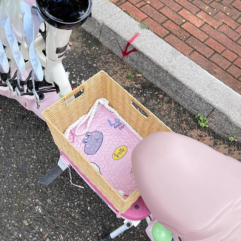 电动车狗狗猫咪宠物篮爱玛雅迪电瓶车通用座篮脚踏板收纳筐创意
