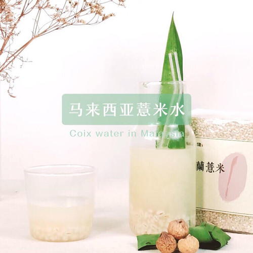新加坡进口薏米水材料珍珠薏米
