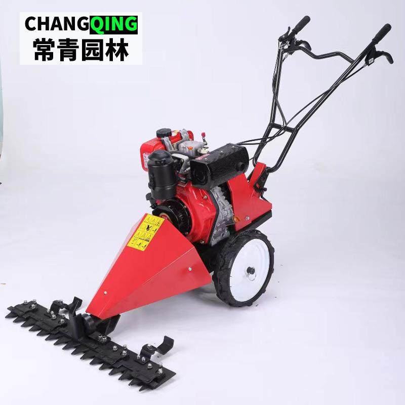 手推式剪草机 汽油柴油6.5马力果园路旁树篱草坪除草自走式割草机,农机/农具/农膜,割灌机/割草机/油锯,淘宝优惠券,粉丝福利购,淘宝优惠卷