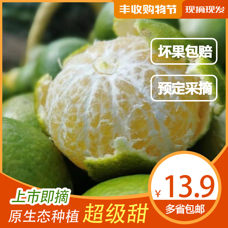 正宗广西皇帝柑薄皮新鲜贡柑桔子现摘应季水果甜柑子橘子包邮孕妇