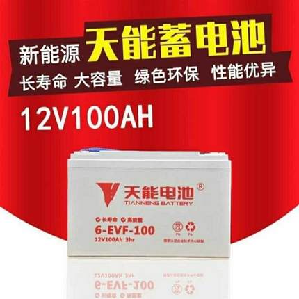 电池12V100AH洗地机电动汽车电瓶6-EVF-100丽驰道爵御捷雷丁