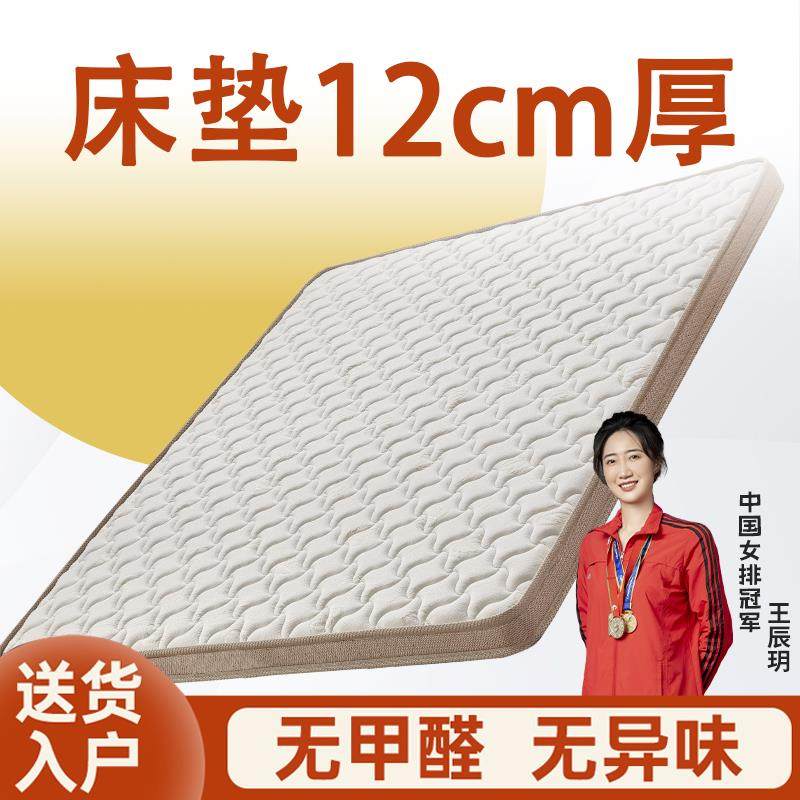 床垫12cm厚加硬椰棕天然纯乳胶护腰脊家用卧室酒店定制单人薄粽榈