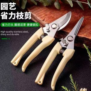 果树园艺花卉剪子剪花店修剪枝神器盆栽条剪刀修枝剪果花枝枝家用