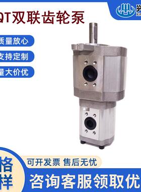 双联齿轮油泵CBQT-E563/F432 F550/F410 F550/F416 F550/F420-AFH