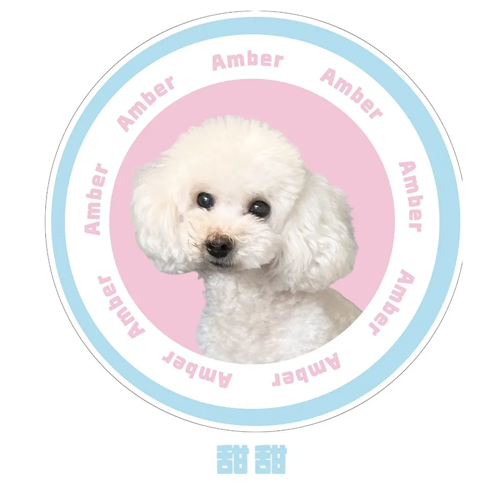 加厚密实宠物猫狗地毯