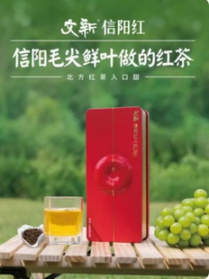 文新信阳红茶茶叶特级正宗工夫红茶花果香型120g正红系列礼盒茶