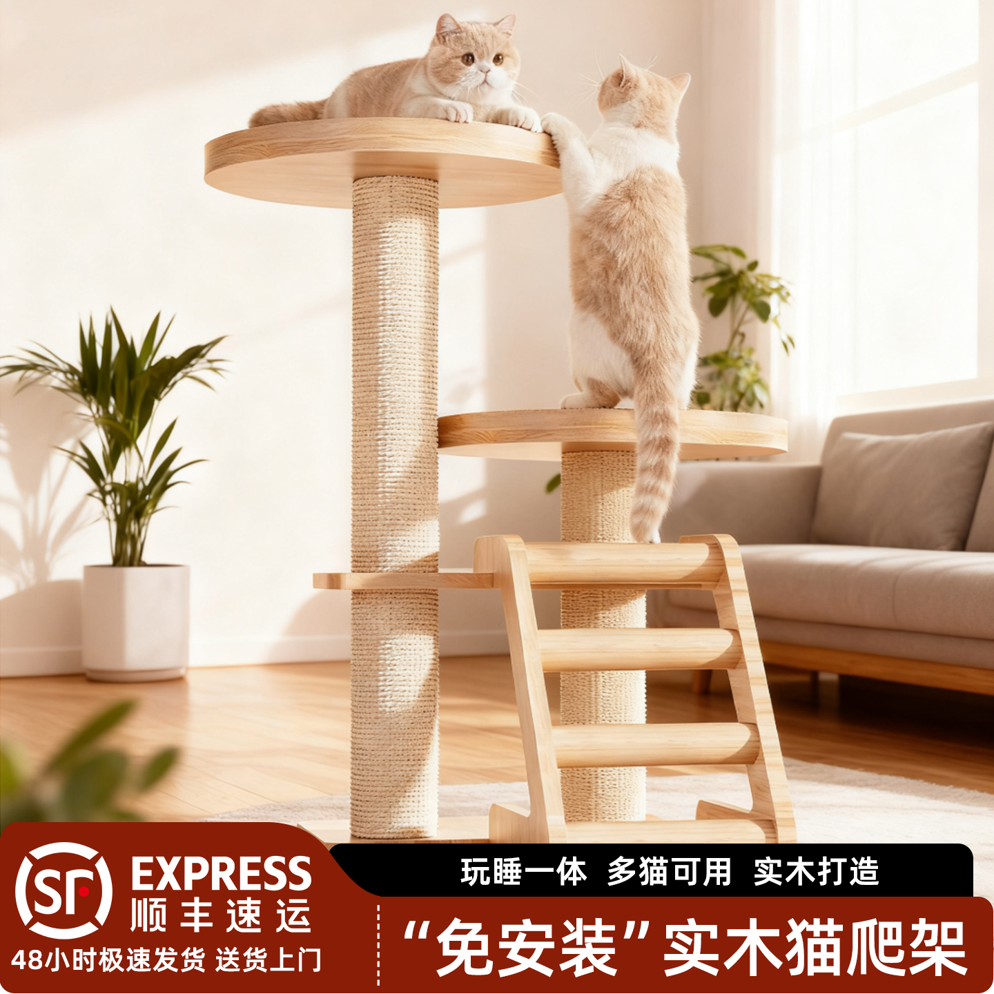 宠沁猫爬架矮脚猫福音