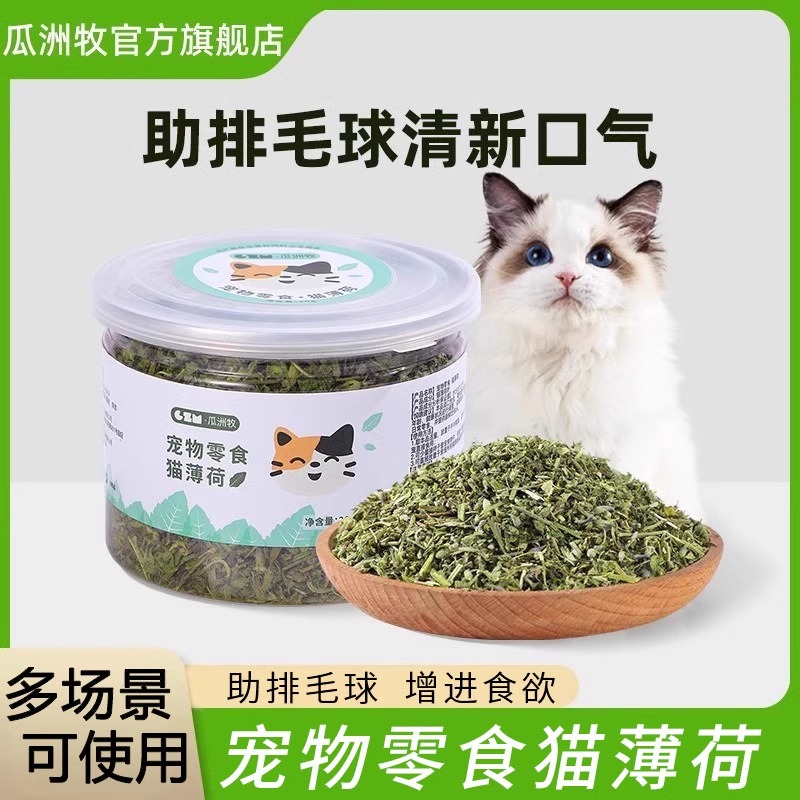 猫薄荷球猫咪零食猫饼干天然可食用去毛球猫草罐装幼猫化毛用