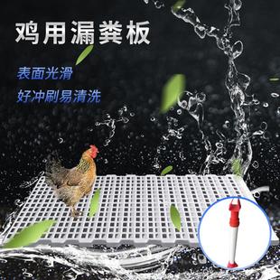 漏粪板鸡用鸡笼鸡粪鸽舍塑料漏粪板养小鸡鸭鹅漏粪网养殖专用设备