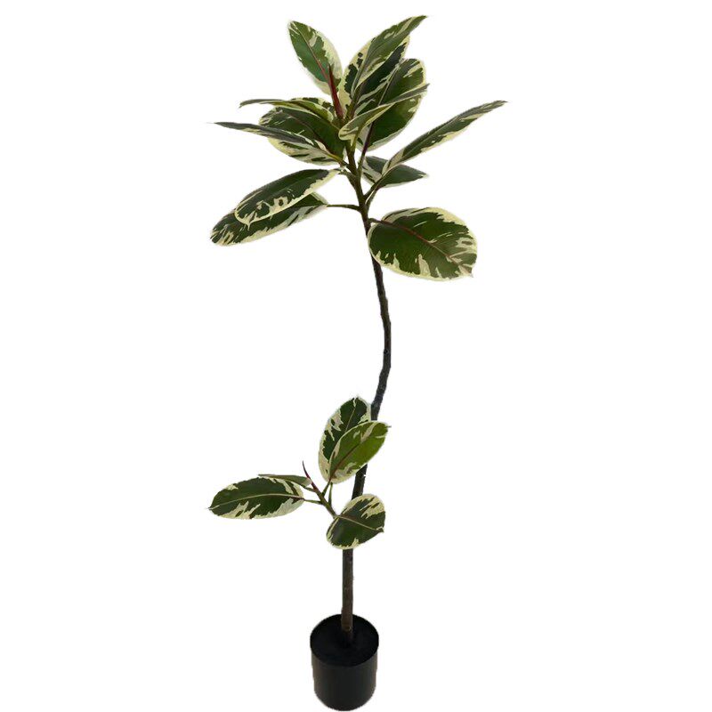 仿真橡树盆栽黑金刚树仿生绿植花叶榕树金刚榕N北欧ins落地橡皮树