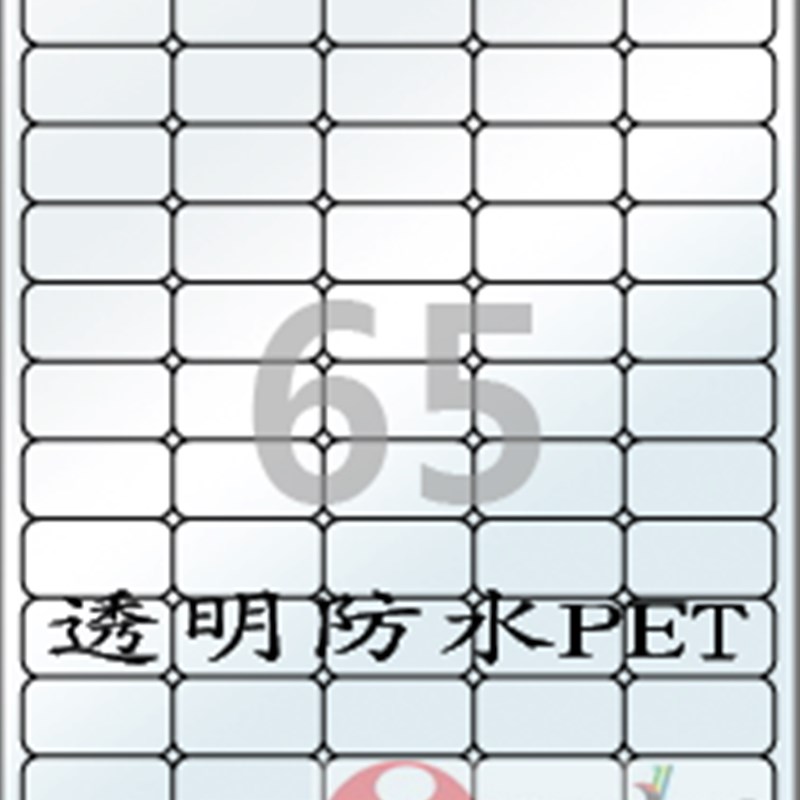 A4/不干胶f/标签纸/爱雷博/透明塑料标签/CL551LT-50张