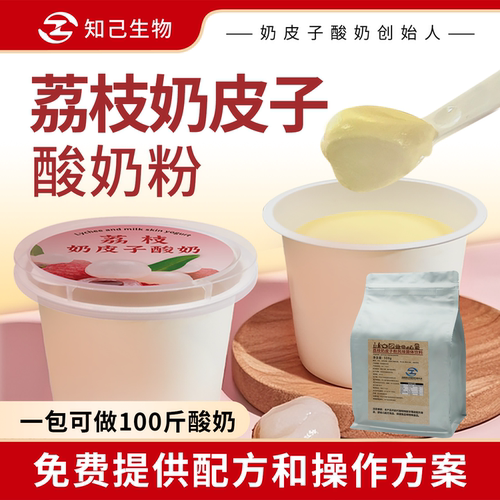 爆品新品商用荔枝奶皮子酸奶粉