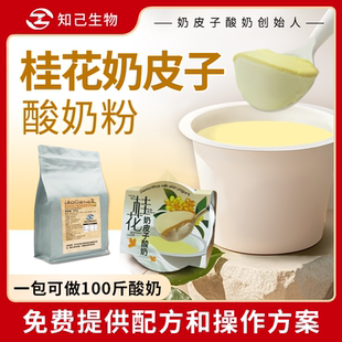 知己生物商用桂花奶皮子酸奶粉奶皮子鮮奶吧烘焙連鎖 新品