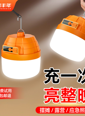 led充电照明灯户外露营灯家用地摊灯超长续航大容量泡摆摊夜市灯