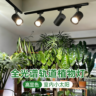 植物补光灯室内家用大棚绿植灯多肉盆栽仿太阳轨道射灯led生长灯
