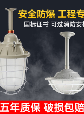 led防爆灯仓库厂房照明灯100W隔爆型加油站厨房工业消防专用灯罩