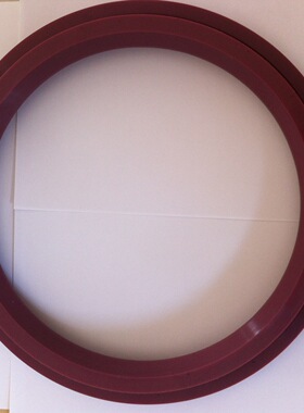 克莱德圆顶阀插入式密封圈DN200、P17460C-01、P5524C-01