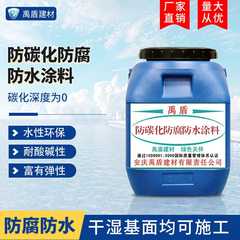 防碳化防腐防水涂料粘结好耐菌群防腐蚀碳化深度绿色环保工程直销