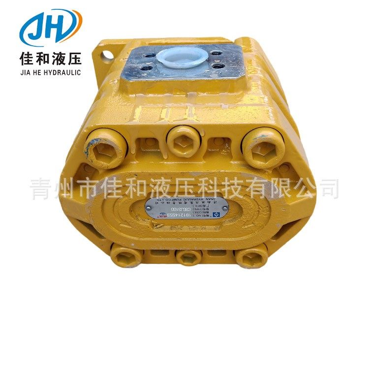 DF966德工标准工作泵  CBGj3125C