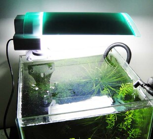 奥德赛PL夹灯水草灯36W(30cm-45cm) 水草 藻缸灯