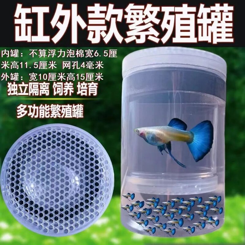 凤尾母鱼悬浮独立孵化网罐孔雀鱼幼鱼苗鱼缸产房隔离繁殖专用盒