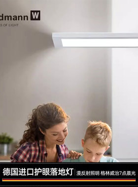 德国进口Waldmann儿童护眼落地灯沃达迈大路灯学生钢琴学习桌LED