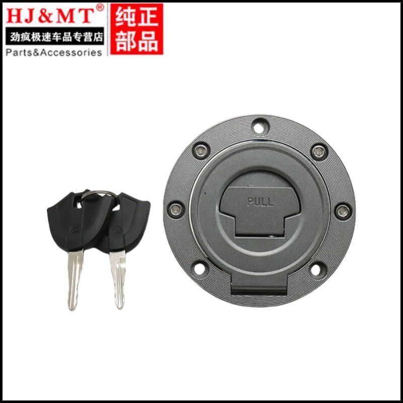 适用珠峰凯越ZF500GY 800X 525X 500X 400X套锁钥匙W电门锁 油箱