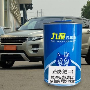 九狼汽车漆路成品虎漆极光中国红依帕内I玛沙滩金富士白毛里求斯