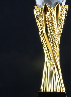 高档水晶奖杯定制公司团队个x人运动会体育冠军荣誉奖刻字火炬麦