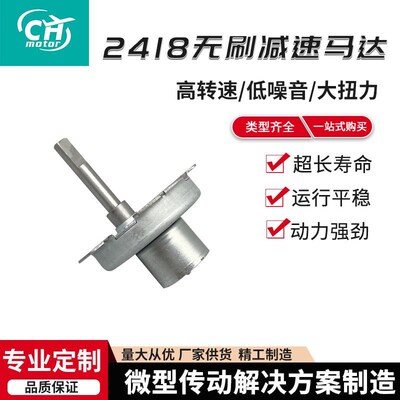 供应无刷马达2418p微型 直流减速电机 可调速充电桩无刷减速电机
