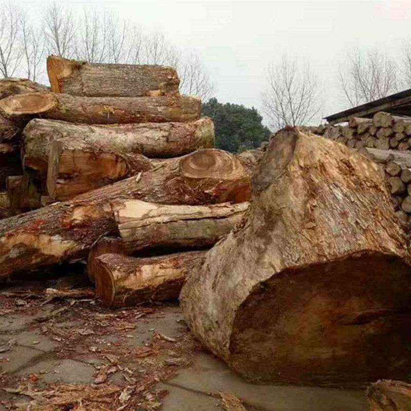 【南美胡桃木】原木板材琥珀木家居彩I大板材琥珀木雨木花梨木