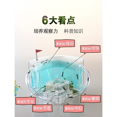 蚂蚁工坊别墅家园蚂蚁城堡生态学生蚁巢小宠物活体弓背蚁后盒子