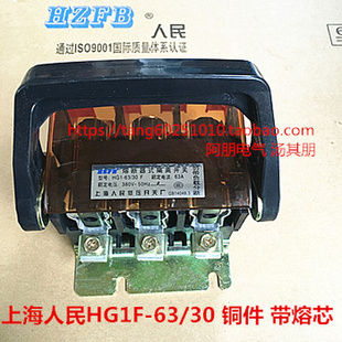 熔断器式 铜件 带熔芯 隔离开关HG1F 上海人民科技