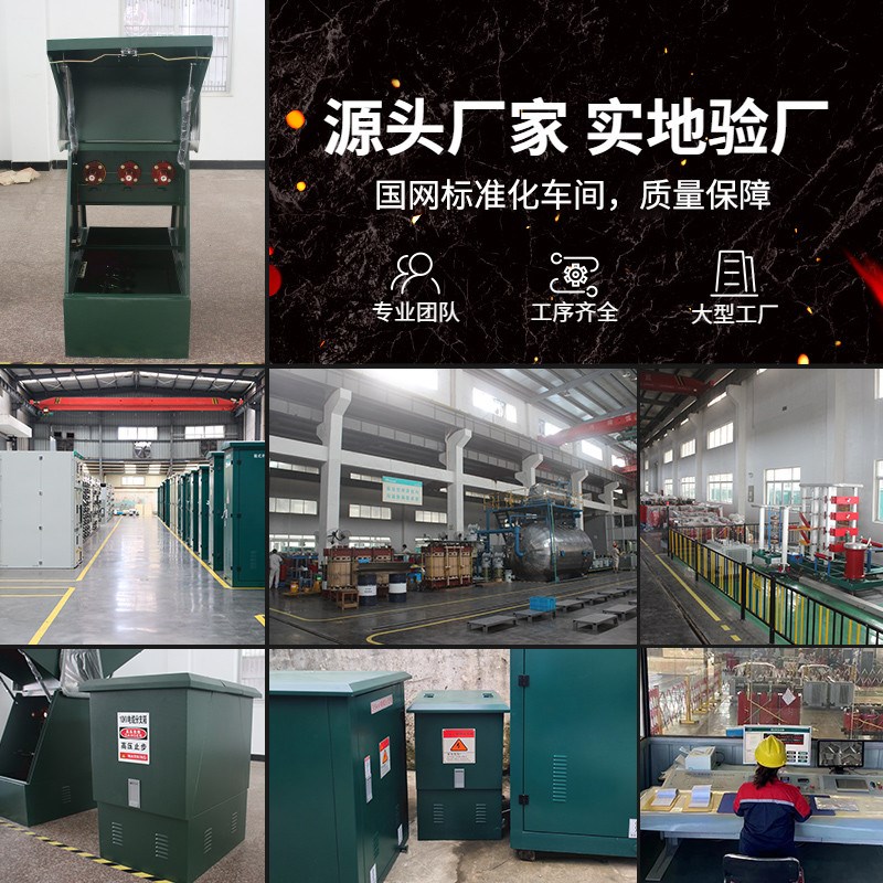 10KV欧式高压电缆分支箱DFW-12/630HA开闭所不锈钢35kv户外分接箱