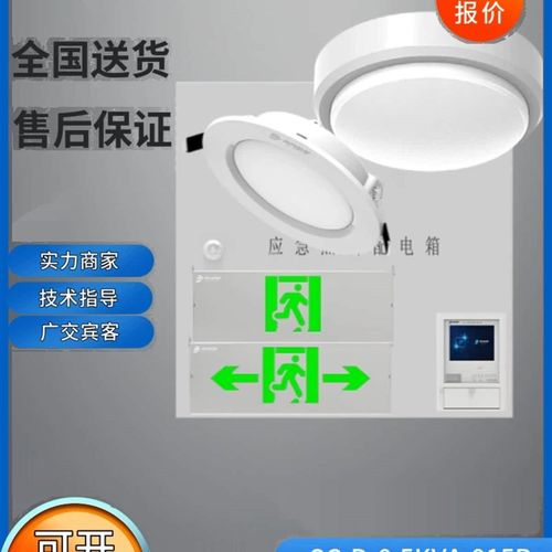 世成电器消防智能应急照明控制器电源疏散SC-DM-0.5KVA-915B