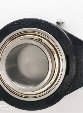 INA球面带座轴承GG LCmTE 03 04 05 06 07 08 GLCTE FLCTE12 30 2