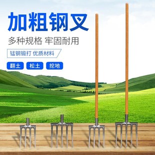 安大侠翻地松土钢叉头农用开荒深挖叉M草工具五齿【单叉头】