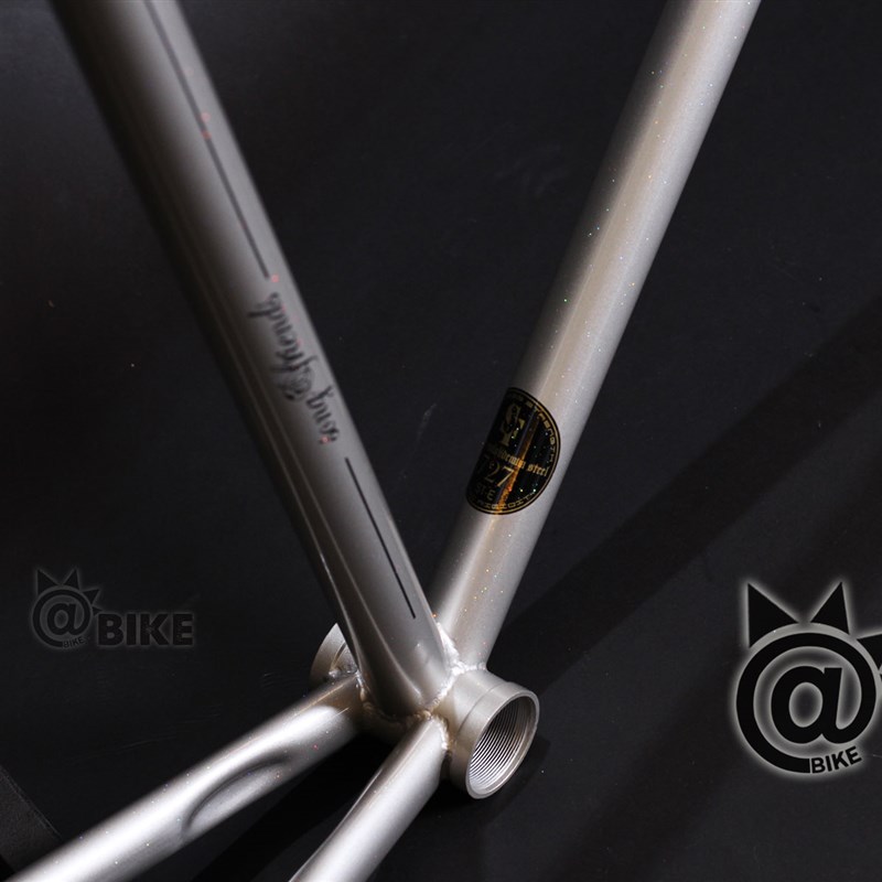 @自行车固定齿轮Sf Sovng&Friends进化覆古钢框架套银