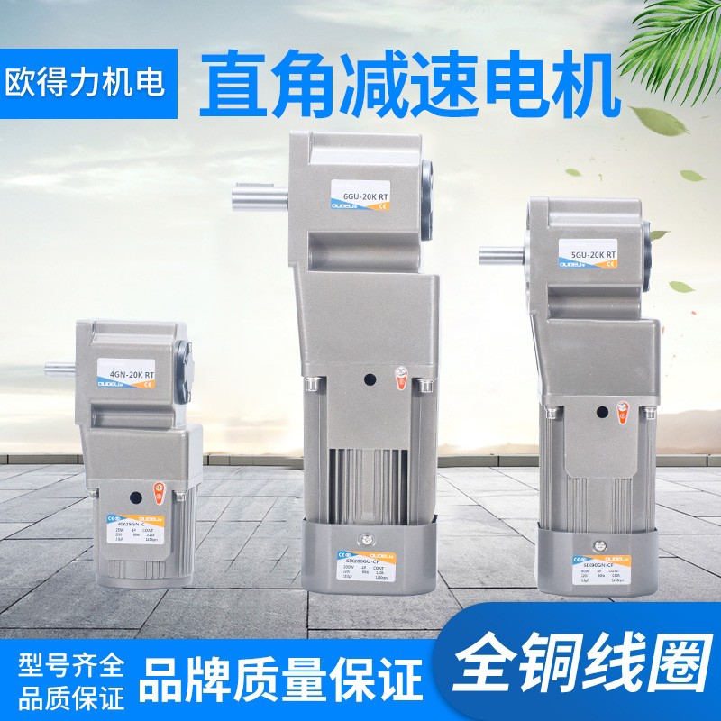 25w40w60w12k0w200w300w370w小微型齿轮直角减速电机220V380V90度