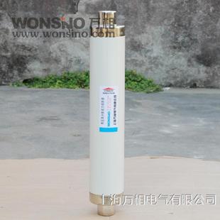 31.5A 40.5KV 40CA 50A 100A户内高压限流熔断器 XRNT 63A XRNT1