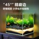 超白鱼缸金晶玻璃20l25新款 40方形缸 小型客厅生态乌龟缸20