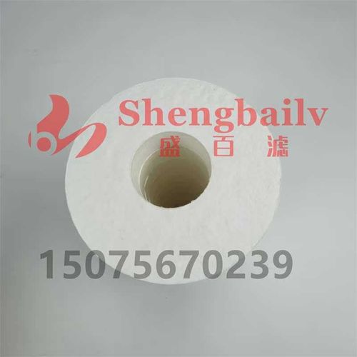 A15/25   PA56o00322 BG152B5 PA5601340  滤芯离线精滤器