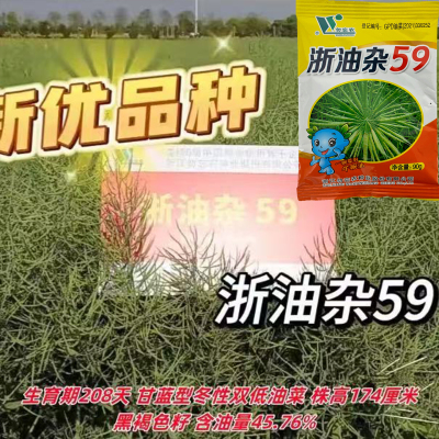 高油高产矮杆抗病粒大荚
