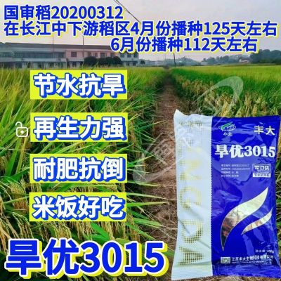 丰大旱优3015水稻种子节水抗旱再生力强耐肥抗倒500g包装水稻种籽