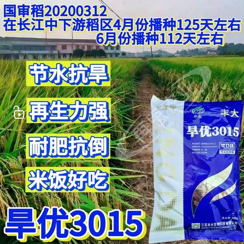 丰大旱优3015水稻种子节水抗旱再生力强耐肥抗倒500g包装水稻种籽