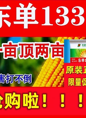 国审东单1331大田玉米种子新疆产地4200粒三斤半大棒抗旱抗病红轴