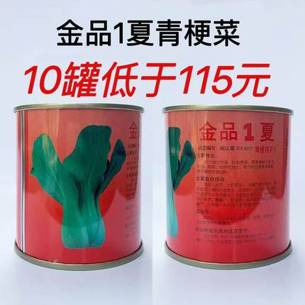 金品1夏青梗菜种子耐热耐湿优质青菜种子四季蔬菜籽上海青100g/罐