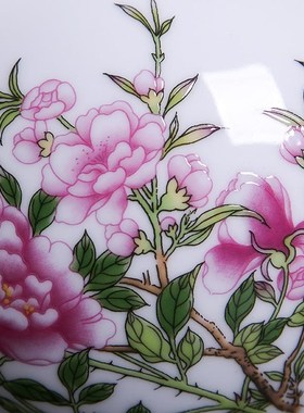 ATPEUdN景德镇珐琅彩描金赏瓶 中式陶瓷仿古工艺品摆件 客厅公办