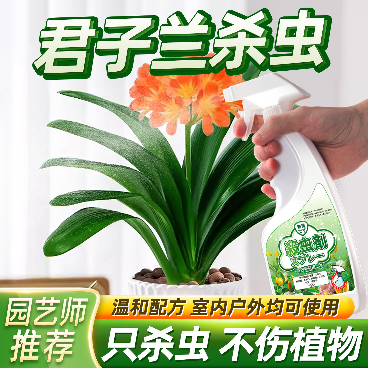 君子兰灭虫蚧壳虫用药打虫药花卉杀虫剂土壤小黑虫有飞虫介壳专用